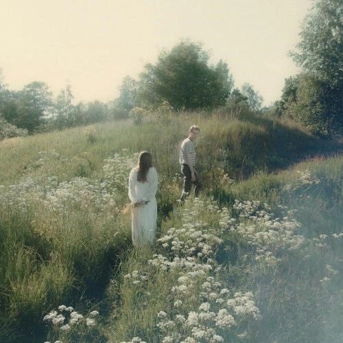 Следую за бабочками