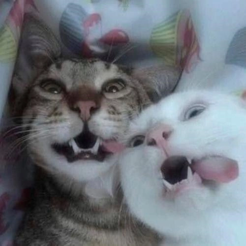 покажи мне свои _т