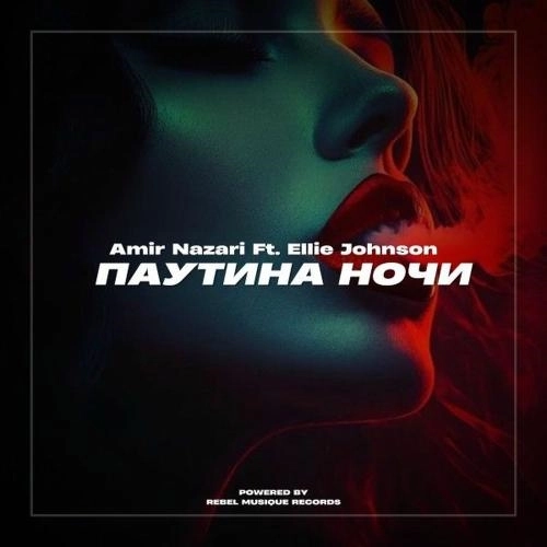 Паутина Ночи