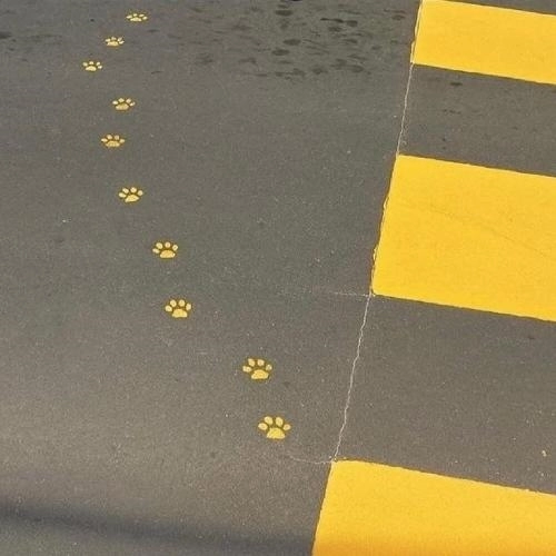 улиц солнечная сторона