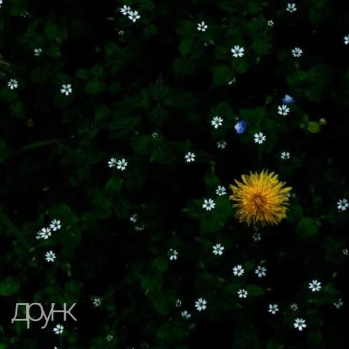 Хочу сказать