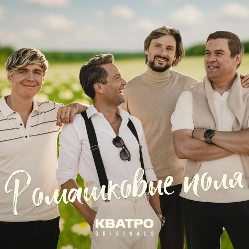 Ромашковые поля