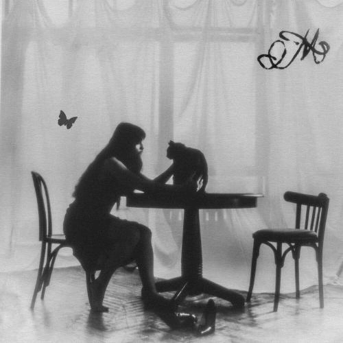 Черная кошка