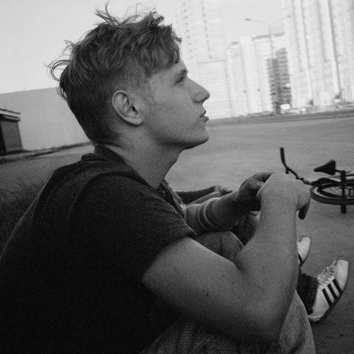 В панцирях черепах