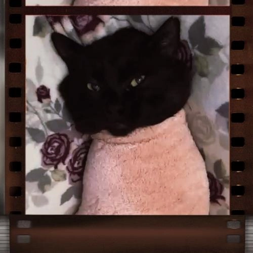 А часики-то тикают