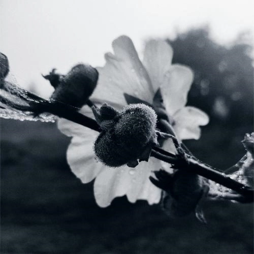 просто так больно