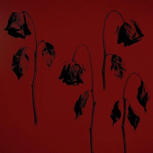 сходили с ума