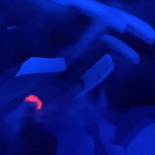 Без обещаний