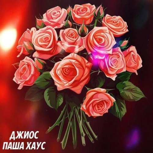 Розовые розы