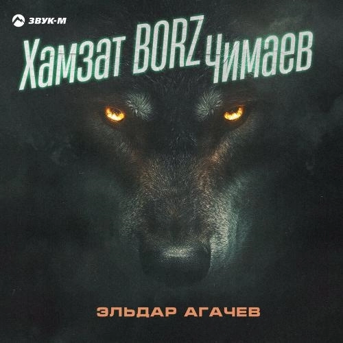 Хамзат BORZ Чимаев