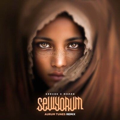 Seviyorum (Aurum Tunes Remix)