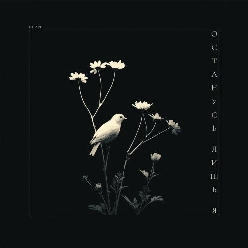 Останусь лишь я