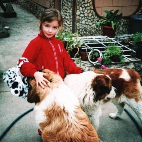 Спустила собак