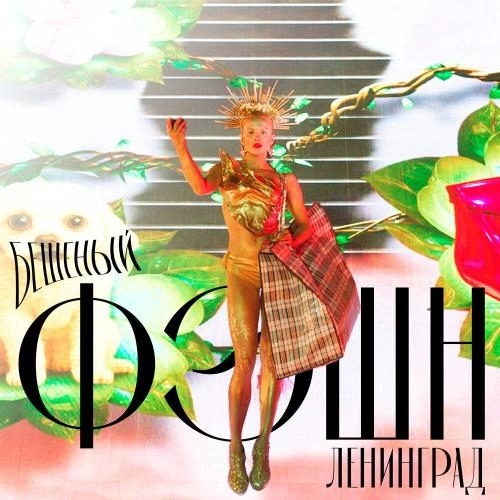 Бешеный фэшн