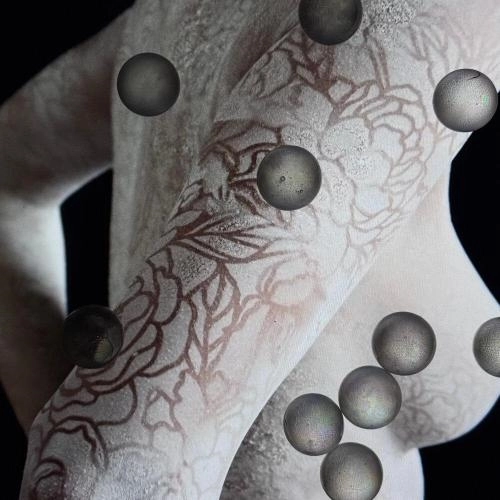 Белая полоса