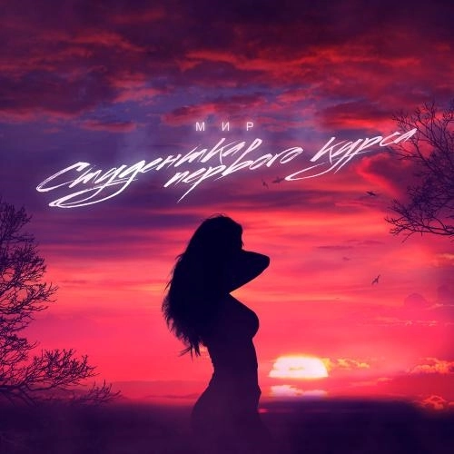 Студентка Первого Курса