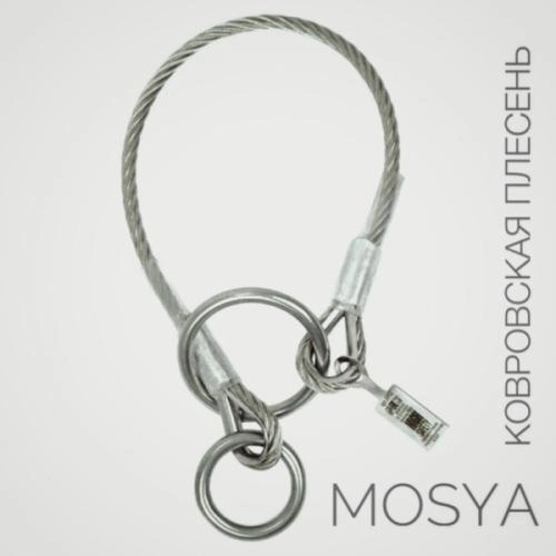 Петля (feat. Ковровская плесенЬ) [Mosya prod.]