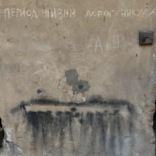 Первый день на земле