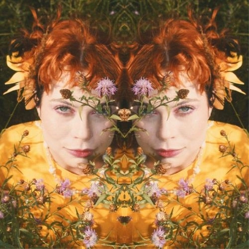 Полевые цветы