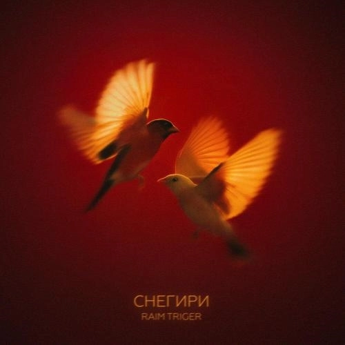 Снегири