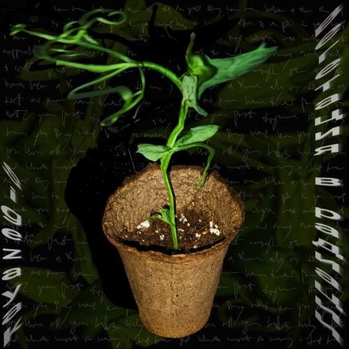 ангельский совет