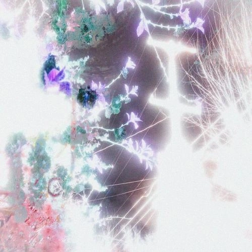 ничо не делаю