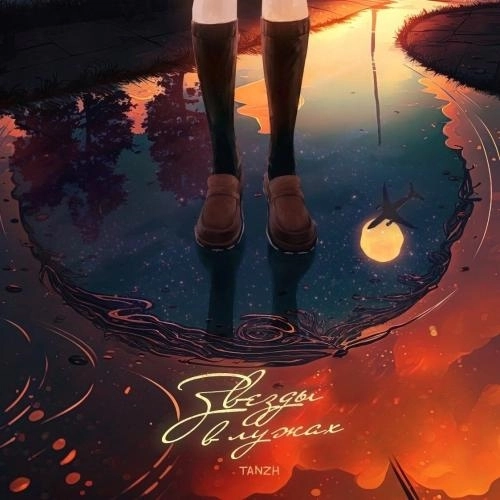 Звёзды в лужах