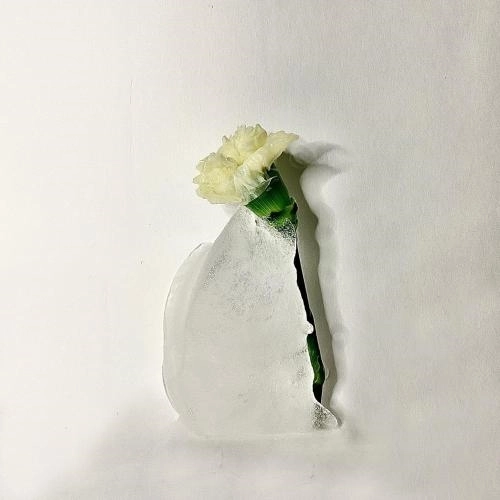 Любимая моя Же