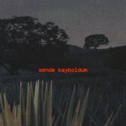 Sende Kayboldum