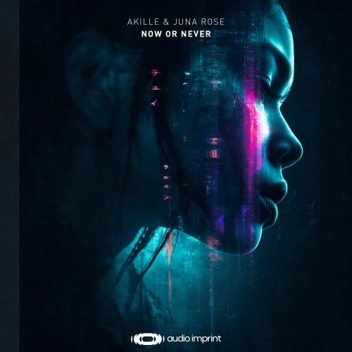 Now Or Never (Extended Mix)