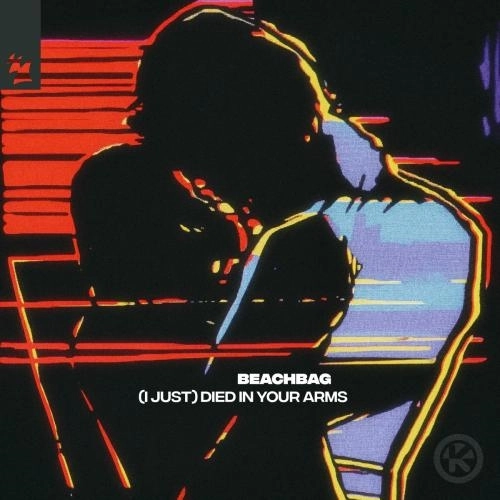 (I Just) Died in Your Arms