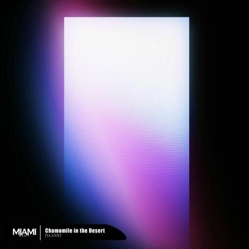 Chamomile In The Desert