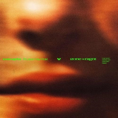 Gone For The Night (feat. Liam Bailey, BackRoad Gee, Scrufizzer & Shakes) [Herbz Remix]