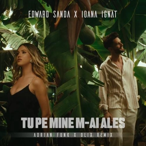 Tu Pe Mine M-ai Ales (Adrian Funk & Olix Remix)