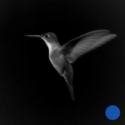 Do You Feel the Same (Ocula Remix)