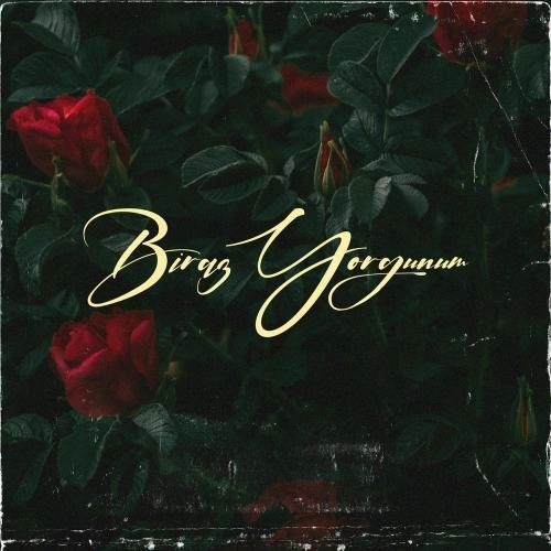 Biraz Yorgunum