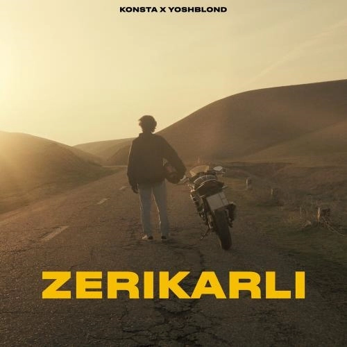 Zerikarli