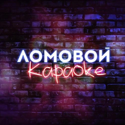 Разобрали всех девок в городе (Караоке)