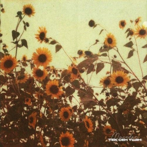 Тек сен үшін (Speed Up)