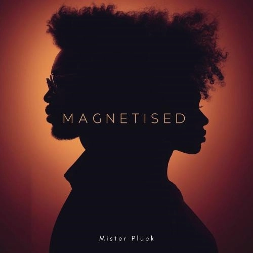 Magnetised (Radio Edit)