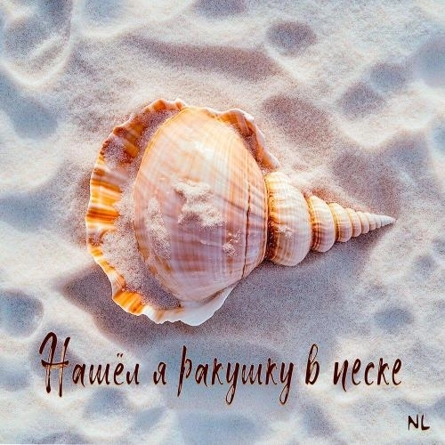 Нашёл я ракушку в песке