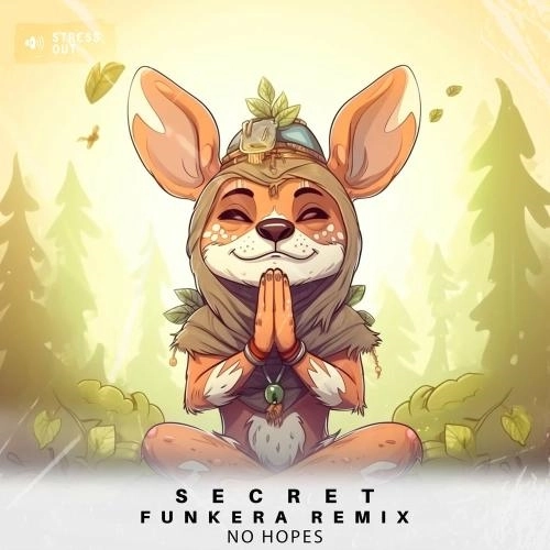 Secret (Funkera Mix)