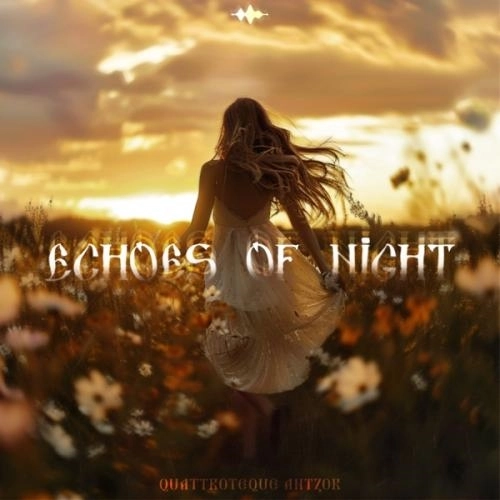 Echoes of Night