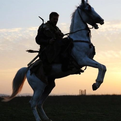 Ветра приветствую я вас