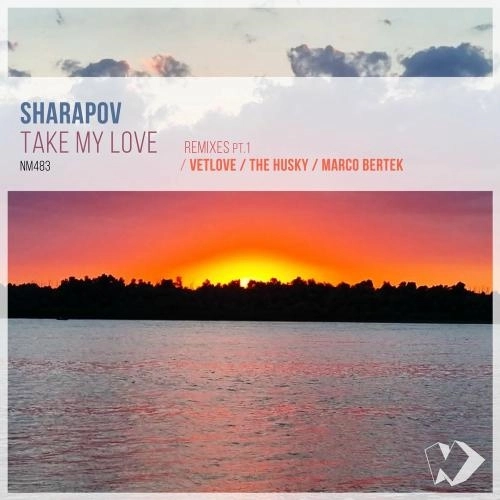 Take My Love (The Husky Remix)