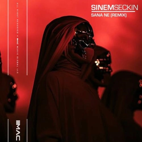 Sana Ne (Remix)