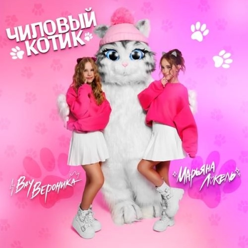 Чиловый котик