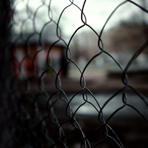 Только факты