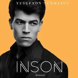 Inson cover