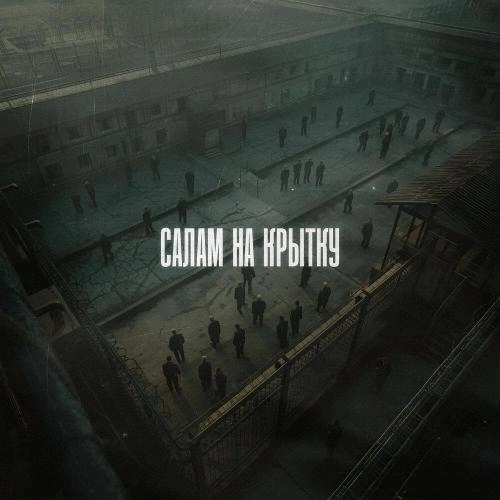 Салам на крытку